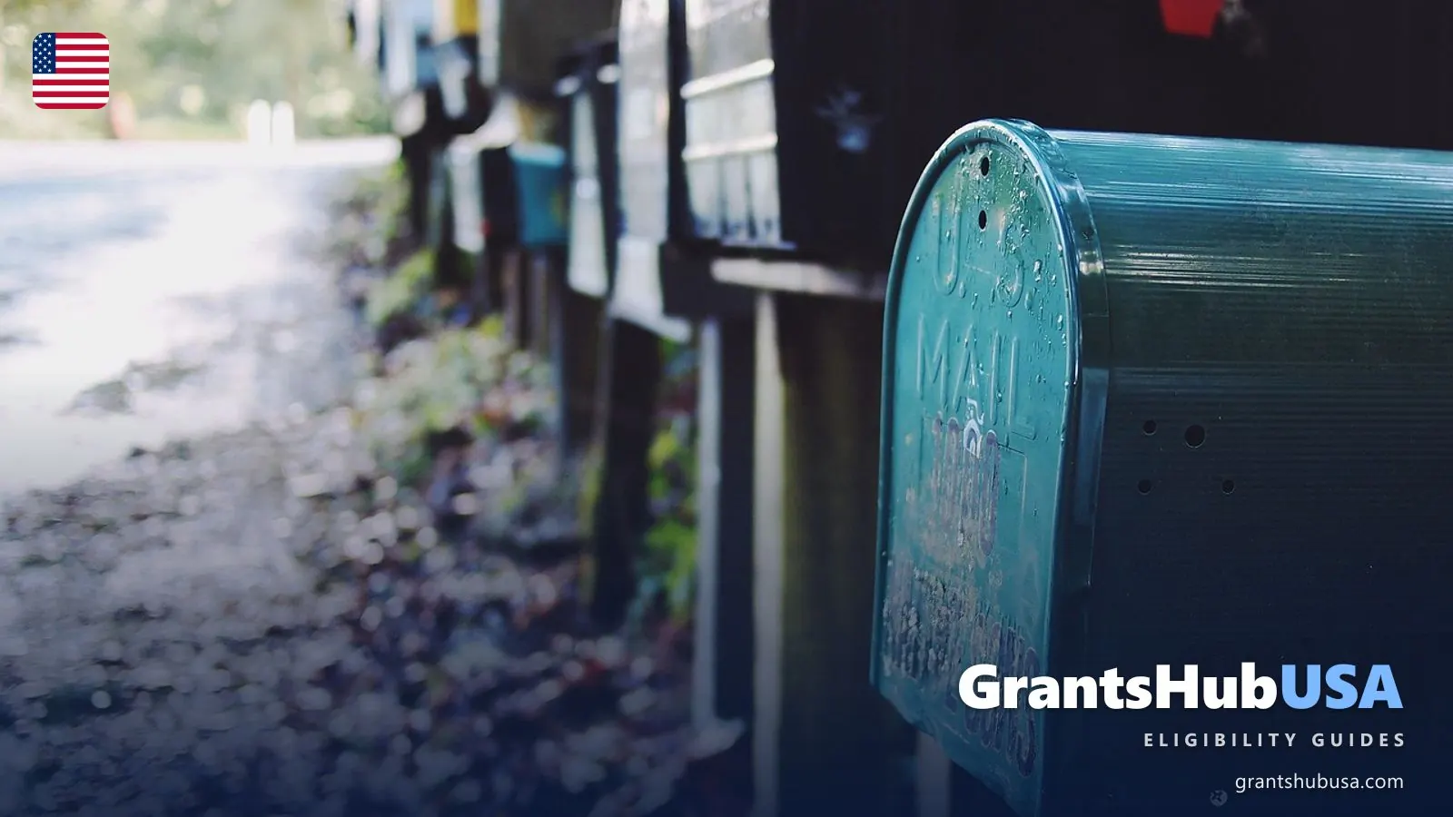 A row of rural U.S. Mail mailboxes along a road, where a replacement EBT card usually arrives